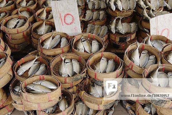 Fischmarkt Bangkok Thailand