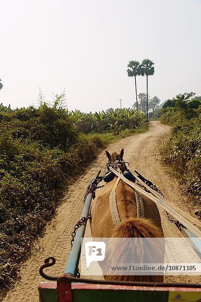 Pferd und Wagen auf der Landstraße Innwa Ava Mandalay Burma