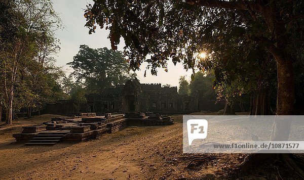Tempel des Preah Khan  Angkor  Siem Reap  Kambodscha  Indochina  Asien