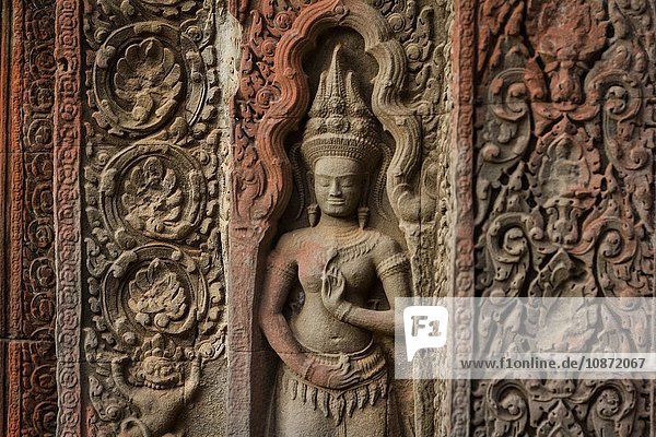Detail der Schnitzerei  Ta-Prohm-Tempel  Angkor Wat  Siem Reap  Kambodscha  Südostasien