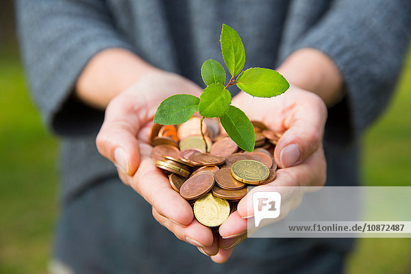 Front view of womans cupped hands holding tree seedling growing from coins