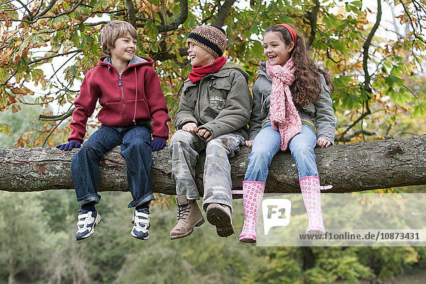 Three children sitting on tree branch  smiling