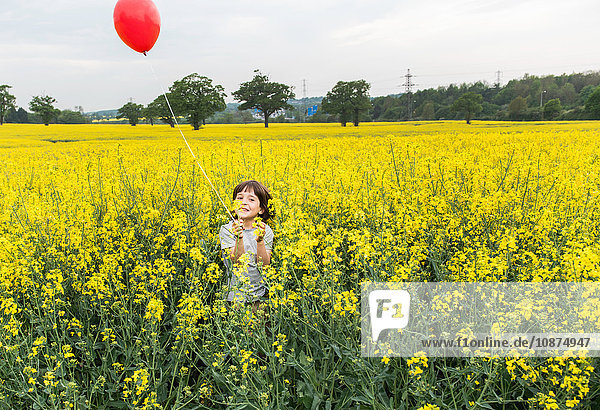 Porträt eines Jungen  der im gelben Blumenfeld steht und einen roten Ballon hält