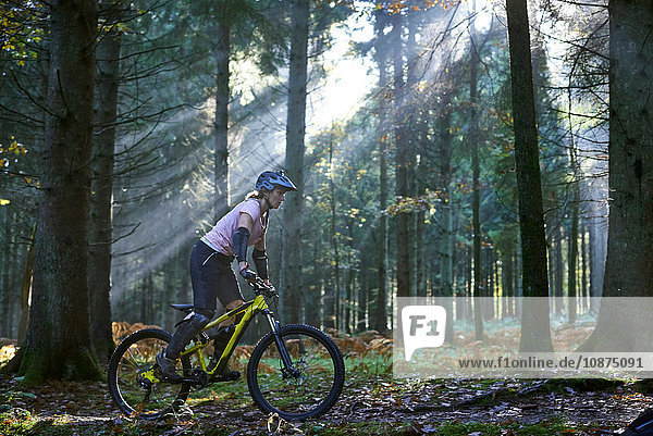 Mountainbikerinnen radeln im sonnenbeschienenen Forest of Dean  Bristol  UK
