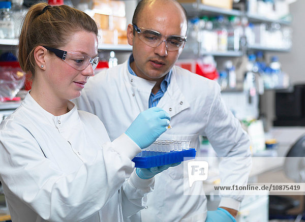 Scientists preparing to analyse samples from clinical trial  Jenner Institute  Oxford University