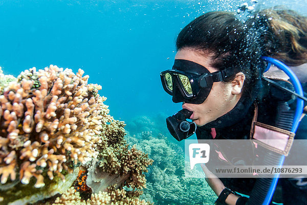 Junge Frau schaut beim Tauchen auf Hart- und Weichkorallen  Moalboal  Cebu  Philippinen