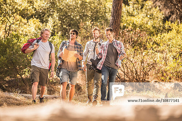 Four male hikers with map on forest hike Deer Park Cape Town South Africa