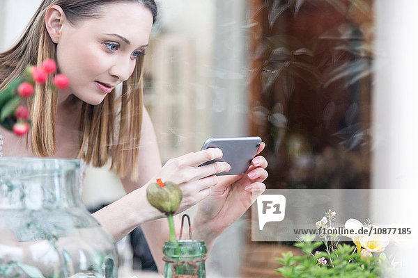 Blick durch das Glas einer Frau  die mit einem Smartphone Pflanzen fotografiert
