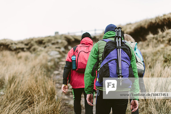 Hikers crossing moor  Yorkshire Dales National Park  England