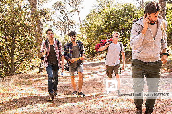 Mann spricht auf Smartphone  während er mit Freunden im Wald wandert  Deer Park  Kapstadt  Südafrika