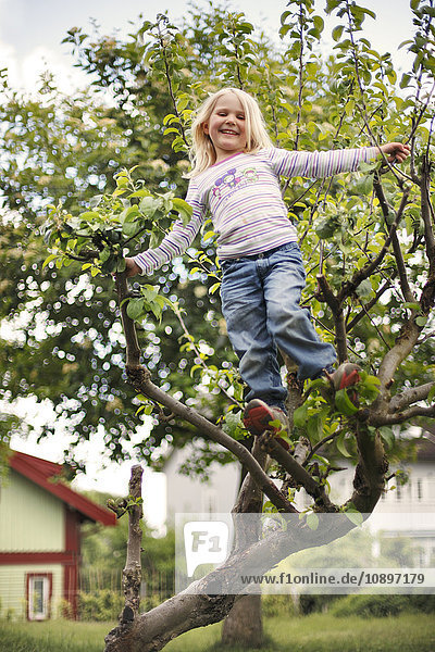 Schweden  Bohuslan  Tjorn  Mädchen (4-5) stehend auf Apfelbaumzweig