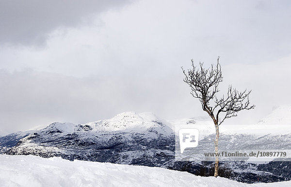 Norwegen,  Hemsedal,  Blick auf die verschneite Landschaft