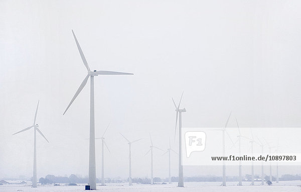 Schweden  Halland  Blick auf den Windpark