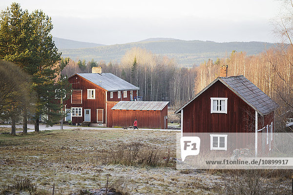 Schweden  Dalarna  Solleron  Rote Holzhäuser in Herbstlandschaft