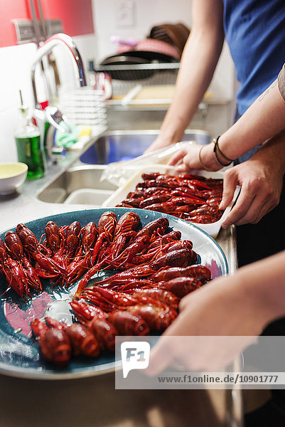 Sweden, Woman and man preparing crayfish