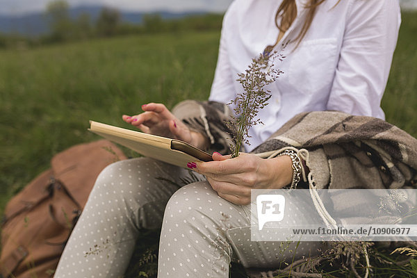 Woman sitting on a meadow using digital tablet holding grasses in one hand  partial view
