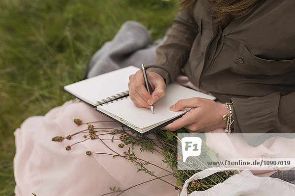 Junge Frau sitzt auf einer Wiese und schreibt etwas in ihr Notizbuch  Teilansicht