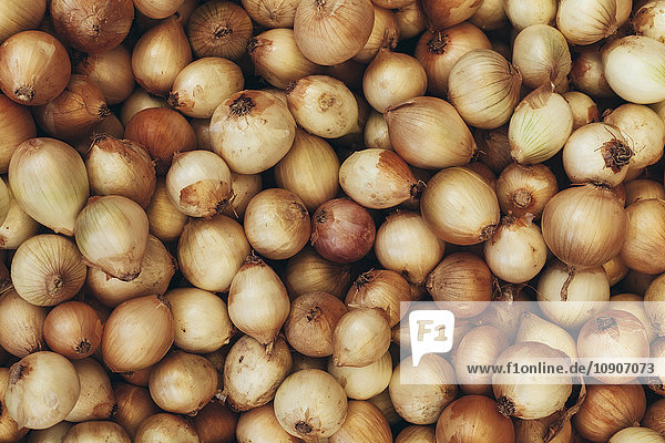 Onions at the farmer's market