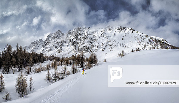 France  Hautes Alpes  Queyras Nature Park  Ceillac  Pic de Chateau Renard  ski mountaineering
