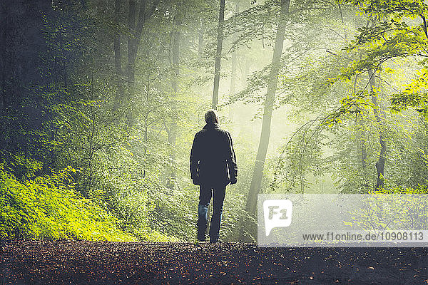 Man walking on forest track in morning light