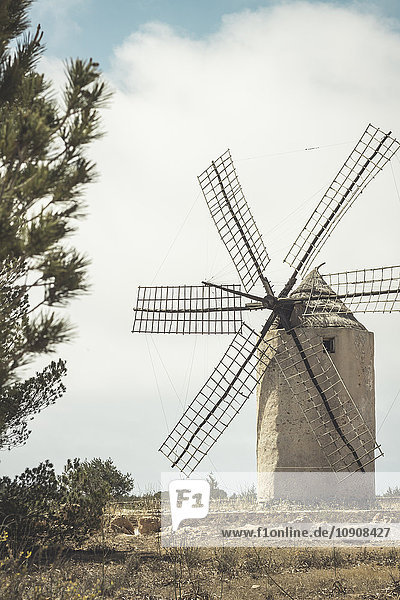Spanien  Formentera  El Pilar de la Mola  Blick auf die Windmühle Moli vell de la Mola