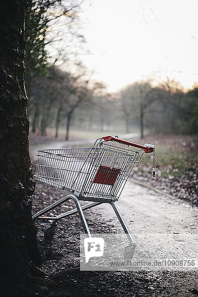 Germany  empty shopping cart parked at tree in city park on rainy day