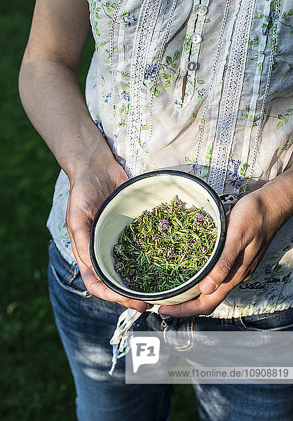 Woman holding bowl of freshly picked thyme