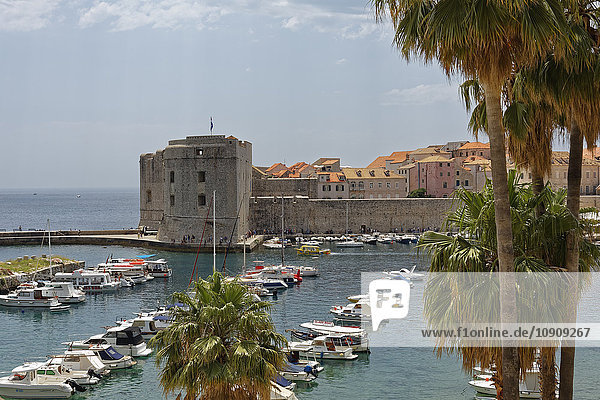 Kroatien  Dubrovnik  Altstadt  Hafen