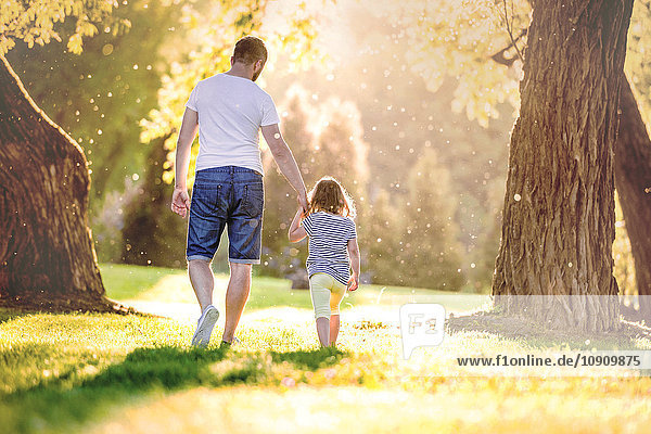 Rückansicht des Vaters und seiner kleinen Tochter  die Hand in Hand auf einer Wiese im Park gehen.