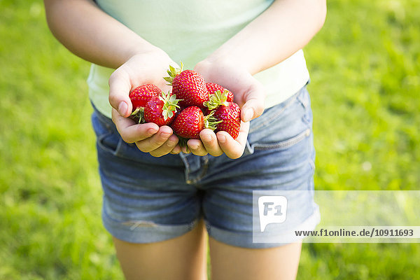 Mädchenhände halten Erdbeeren.
