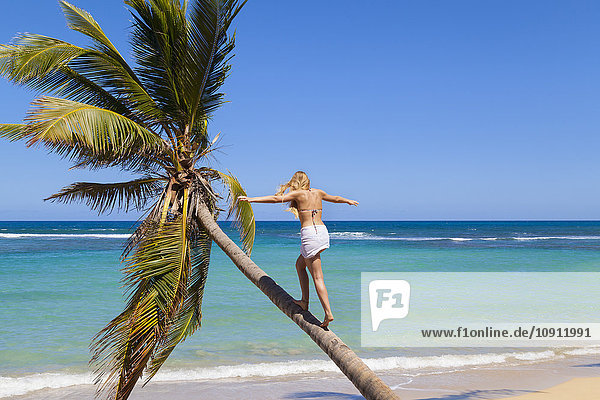 Dominikanische Rebublik Junge Frau klettert auf Palme am tropischen Strand