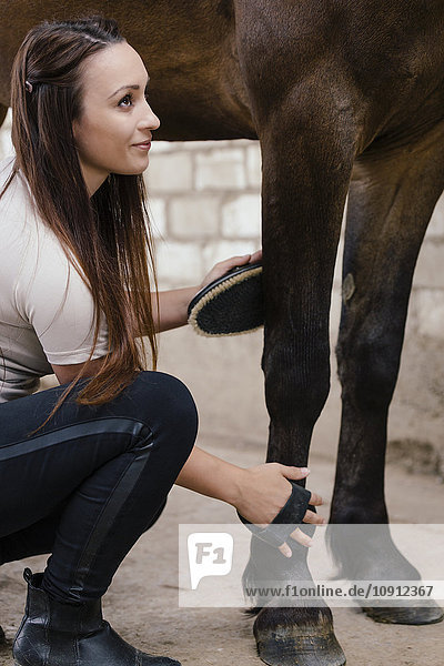 Junge Frau pflegt Bein von braunem Pferd