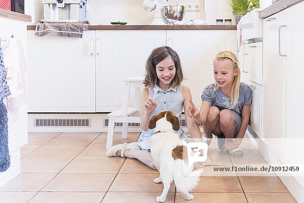 Zwei kleine Mädchen  die ihren Hund in der Küche unterrichten.