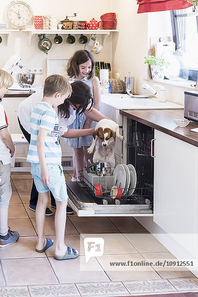 Familie und Hund in der Küche in der Spülmaschine