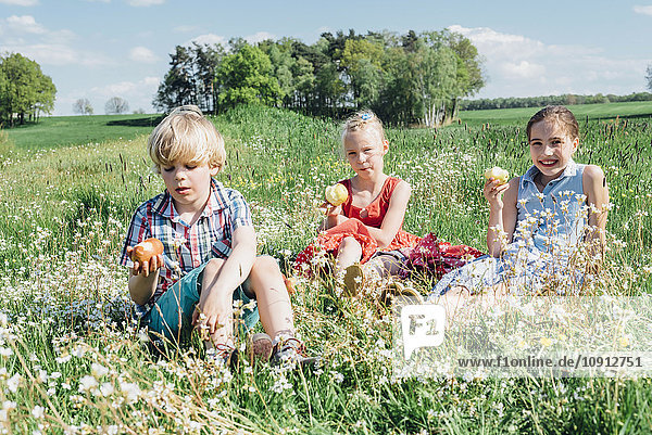 Children sitting in meadow eating apples