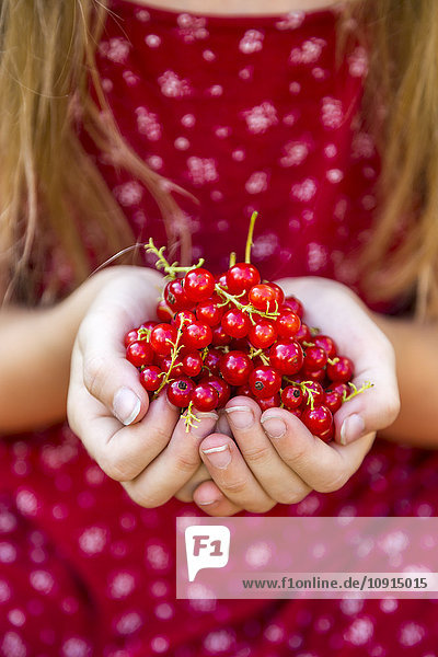 Mädchenhände mit roten Johannisbeeren