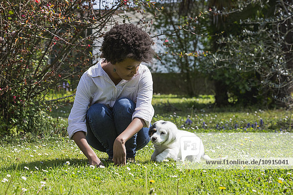 Junge Frau spielt mit ihrem Hund auf einer Wiese