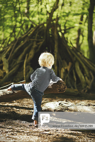 Kleiner Junge spielt im Wald