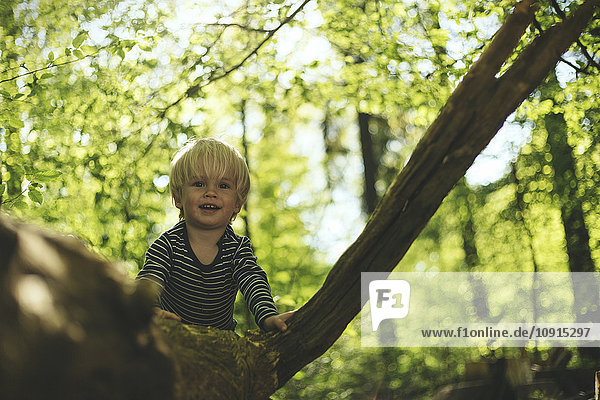 Glücklicher kleiner Junge im Wald