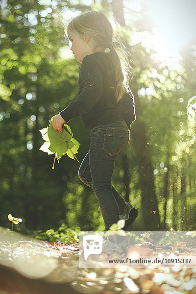 Mädchen im Wald wandern mit Blättern