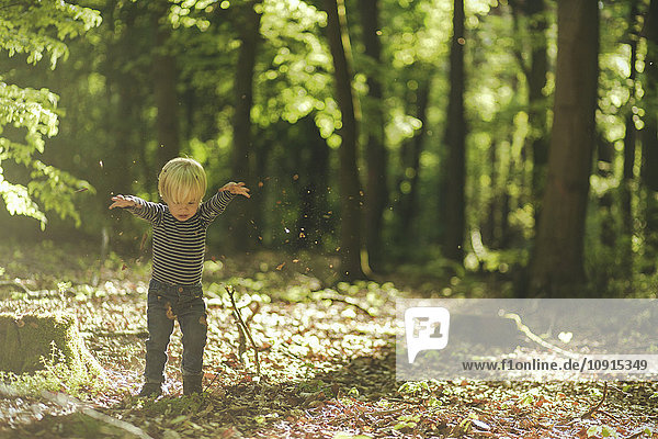 Kleiner Junge spielt im Wald