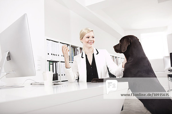 Business woman with her Labrador Retriever in the office