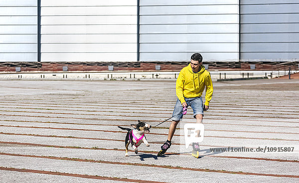 Inline-skater playing with his bull terrier