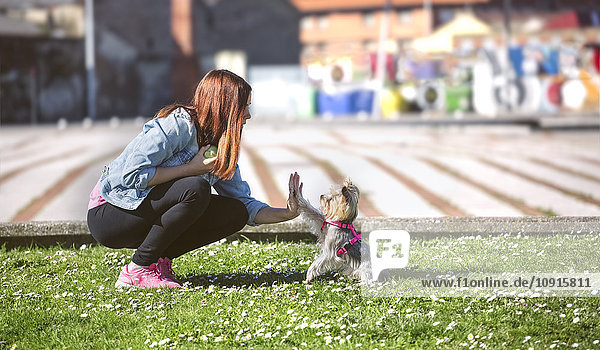 Junge Frau spielt mit ihrem Yorkshire Terrier auf einer Wiese