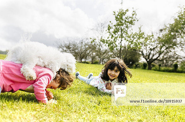 Zwei kleine Schwestern  die mit ihrem Hund auf einer Wiese spielen.