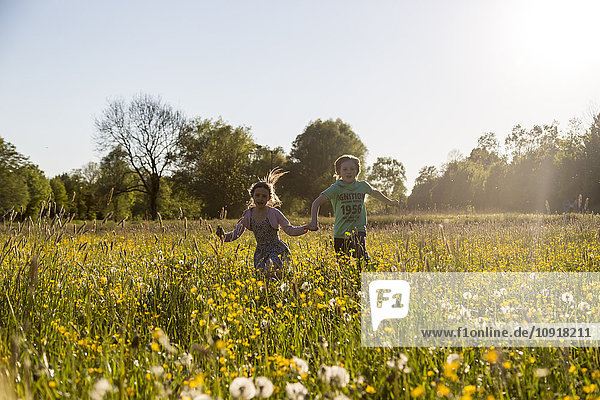 Bruder und Schwester laufen im Frühling auf einem Blumenfeld.