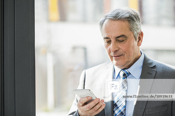 Senior businessman looking on cell phone