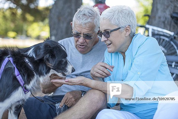 Ältere Paare füttern ihren Hund im Freien.
