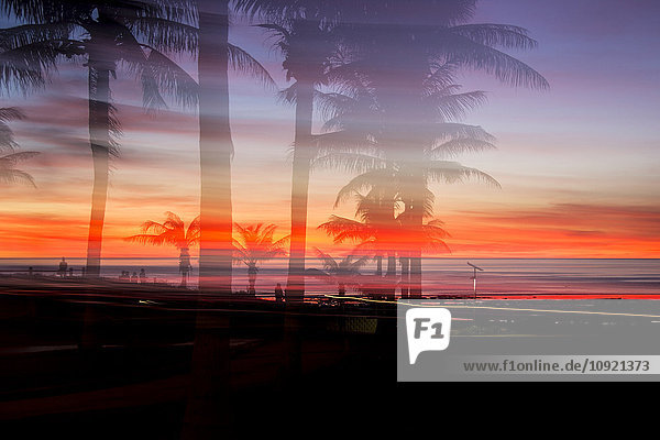 Silhouettierte Palmen und dramatischer Sonnenuntergang über dem Meer  Broome  Australien