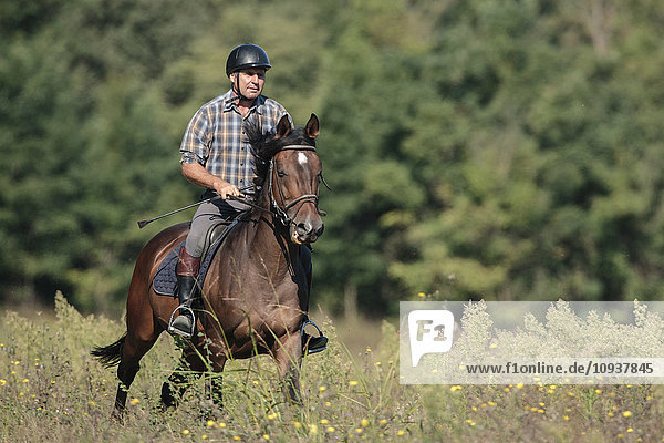 Senior man horseback riding in field